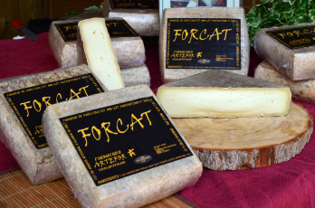 Картинка forcat еда сырные+изделия сыр