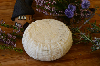 Картинка formatge+tendre еда сырные+изделия сыр