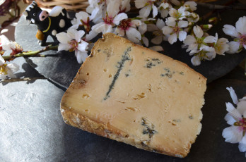 Картинка l`atrevit+de+betara еда сырные+изделия сыр