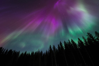 Картинка природа северное+сияние ночь звезды лес северное сияние небо