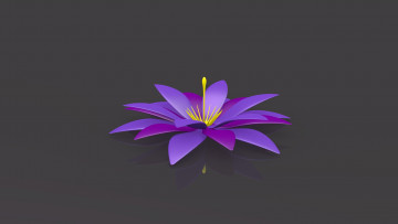 Картинка 3д+графика цветы+ flowers лепестки фон