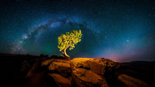 Обои картинки фото природа, деревья, дерево, ночь, свет, млечный, путь, небо, скалы, звезды