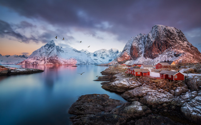 Обои картинки фото города, - пейзажи, фьорд, скалы, норвегия, горы, птицы, поселок, лофотенские, острова