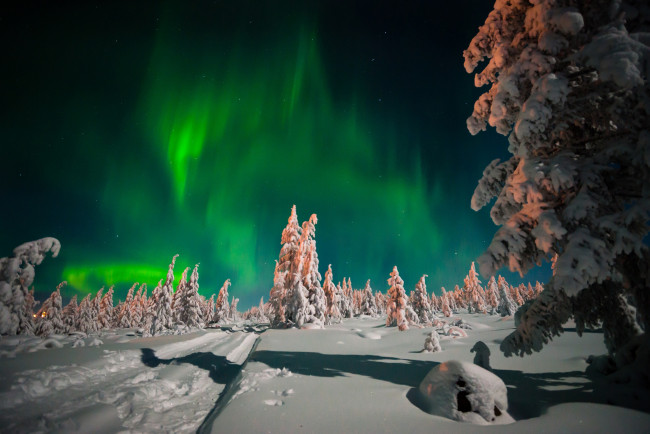 Обои картинки фото природа, северное сияние, северное, сияние, ночь, лес, небо, сугробы, снег, звёзды, зима, дорога, деревья
