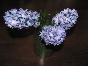 обоя цветы, гиацинты, ваза, букет