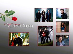 обоя кино фильмы, the vampire diaries, вампиры, кадры, роза