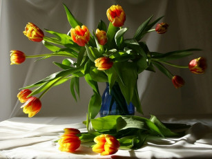 Картинка андрей базаев тюльпанный взрыв цветы тюльпаны