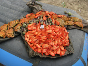 Картинка иринка сахалинка улов еда рыба морепродукты суши роллы