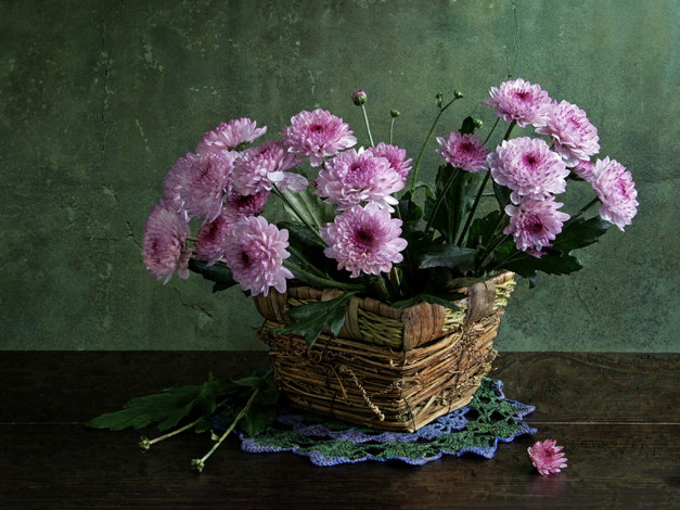 Обои картинки фото irina, kotlova, натюрморт, хризантемами, цветы, хризантемы