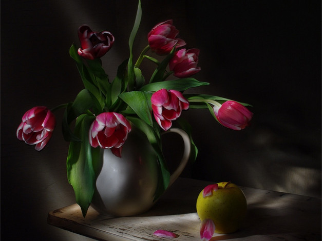 Обои картинки фото rom, цветы, тюльпаны