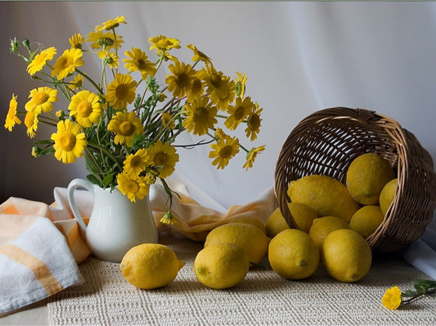 Обои картинки фото tatiana, osipova, лимонами, еда, натюрморт