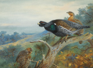 Картинка рисованные archibald thorburn