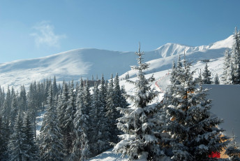 Картинка природа зима буковель закарпатье украина