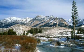Картинка природа горы кусты речка зима деревья
