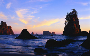 Картинка природа побережье море деревья камни скалы