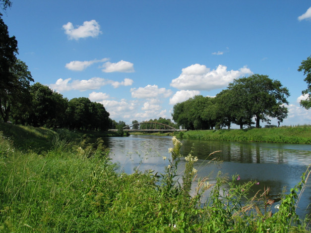 Обои картинки фото природа, реки, озера, цветы, деревья, мост, река