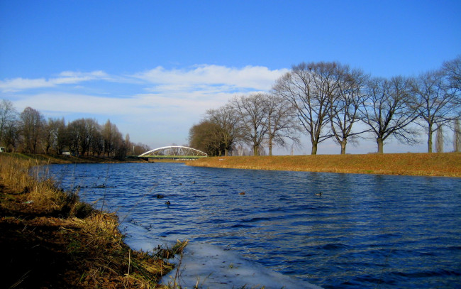 Обои картинки фото природа, реки, озера, река, мост, деревья, утки