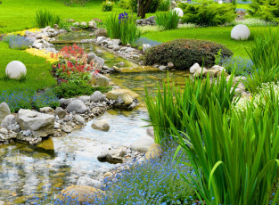 Картинка природа парк камни камыши ручей