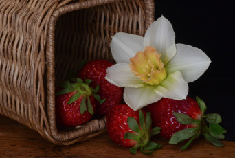 Картинка еда клубника земляника ягоды корзинка нарцисс