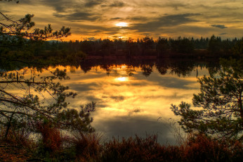 Картинка природа реки озера озеро лес полумрак тучи трава ветки