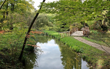 Картинка природа парк речка деревья мостик