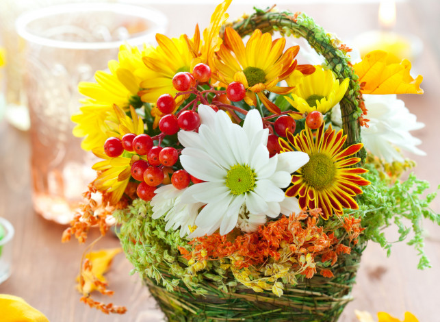 Обои картинки фото цветы, букеты, композиции, ягоды, хризантемы, корзинка