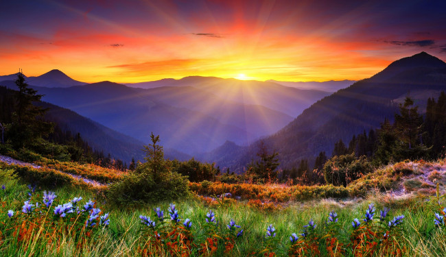 Обои картинки фото природа, восходы, закаты, солнце, цветы, трава, луг, горы