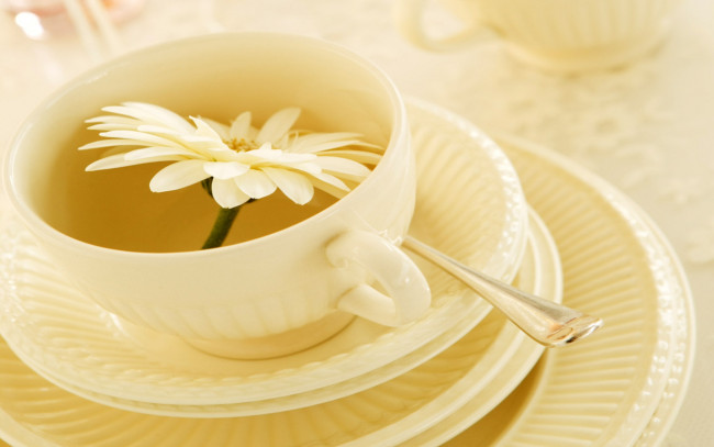 Обои картинки фото еда, напитки, Чай, цветок, чашка, чай
