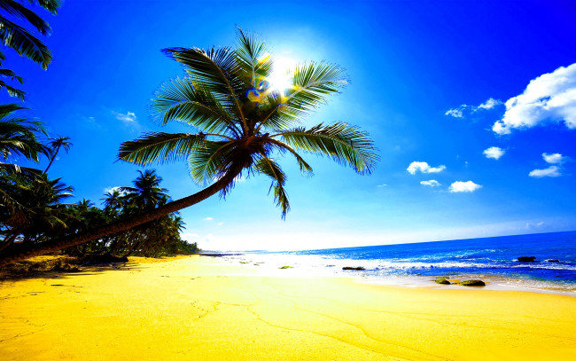 Обои картинки фото природа, тропики, пляж, песок, пальмы, солнце, блики, океан