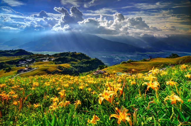 Обои картинки фото пейзаж, природа, пейзажи, горы, склон, цветы, лилии, селение, облака, лучи, солнца