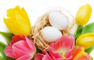 Картинка праздничные пасха праздник цветы яйца тюльпаны