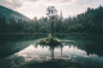 Картинка природа реки озера озеро лес дерево небо