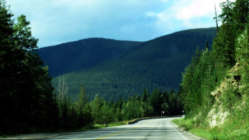 Картинка природа дороги лес шоссе горы