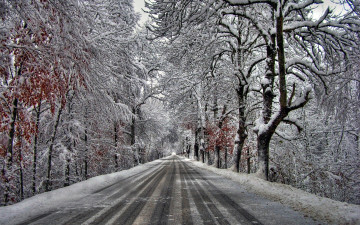 Картинка природа дороги деревья снег иней
