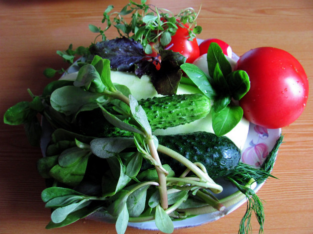 Обои картинки фото еда, овощи, помидоры, огурцы, укроп, базилик, салат, редис