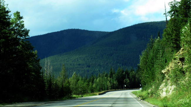Обои картинки фото природа, дороги, лес, шоссе, горы