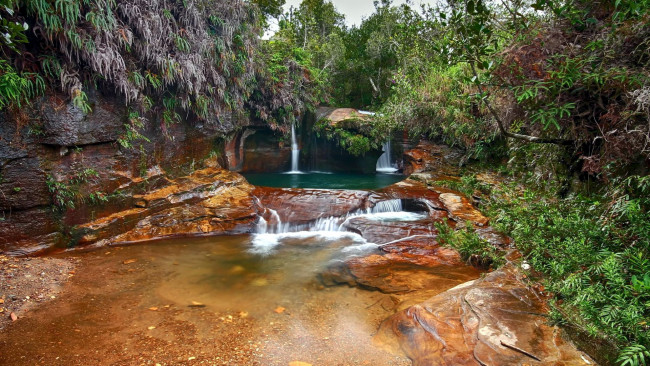 Обои картинки фото природа, водопады, кусты, вода, камни