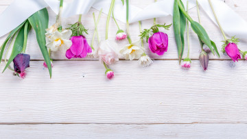Картинка цветы разные+вместе тюльпан анемон нарцисс