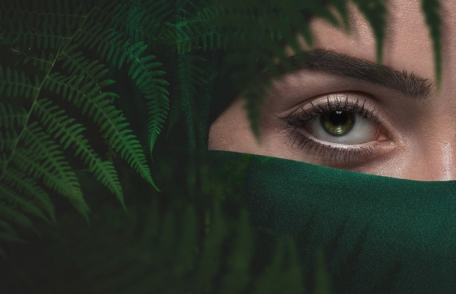 Обои картинки фото разное, глаза, зеленый, девушка, глаз, папоротник, бровь