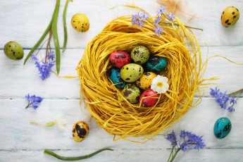 Картинка праздничные пасха гнездо яйца цветы праздник
