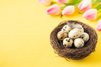 Картинка праздничные пасха праздник яйца тюльпаны христианский