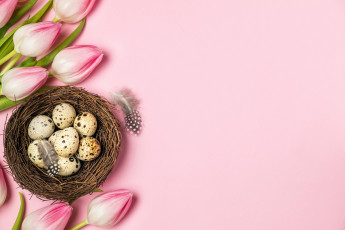 Картинка праздничные пасха праздник яйца тюльпаны христианский