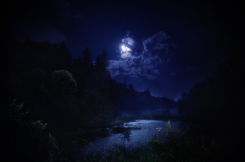 Картинка природа пейзажи ночь красота пейзаж деревья лес вода пруд водоём небо облака темнота отражение