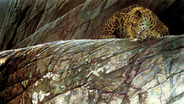 Картинка 295410 рисованное животные +ягуары +леопарды животное хищник