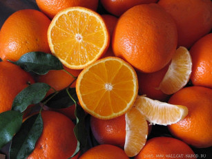 обоя еда, цитрусы, апельсины, дольки, половинки, листья
