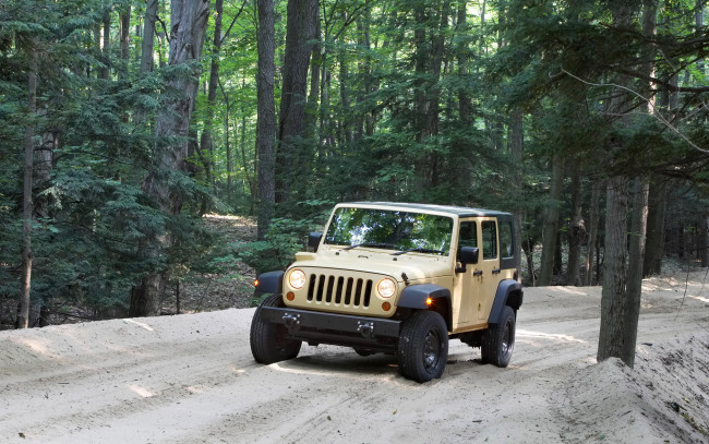 Обои картинки фото автомобили, jeep