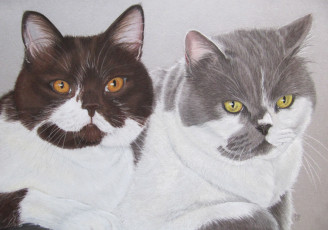 Картинка рисованные животные коты cat