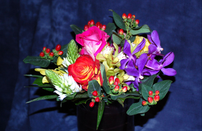 Обои картинки фото цветы, букеты, композиции, орхидеи, розы