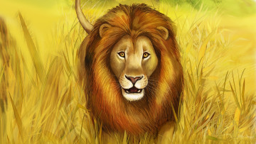 обоя рисованные, животные,  львы, лев