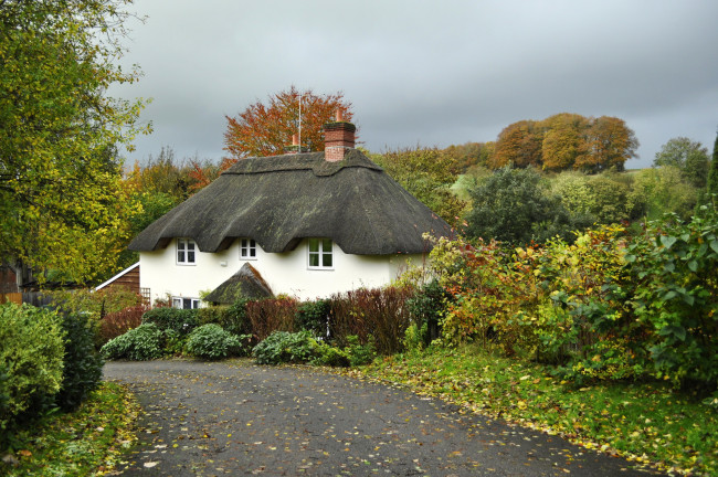 Обои картинки фото tollard royal,  wiltshire,  uk, города, - здания,  дома, англия, tollard, royal, кусты, дорога, england, дом